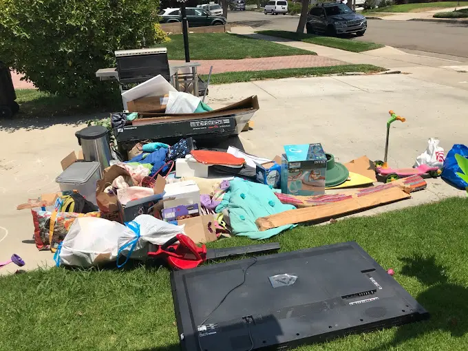 Pile of Trash on the Driveway
