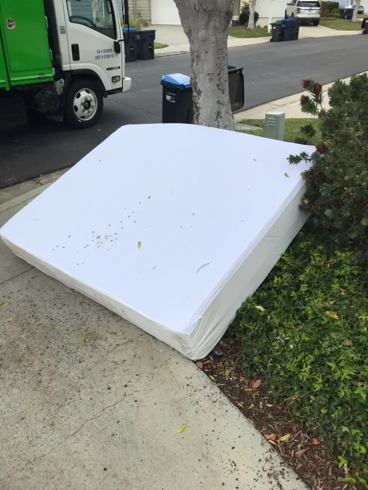 Bed Bug Furniture Removal in Huntington Beach