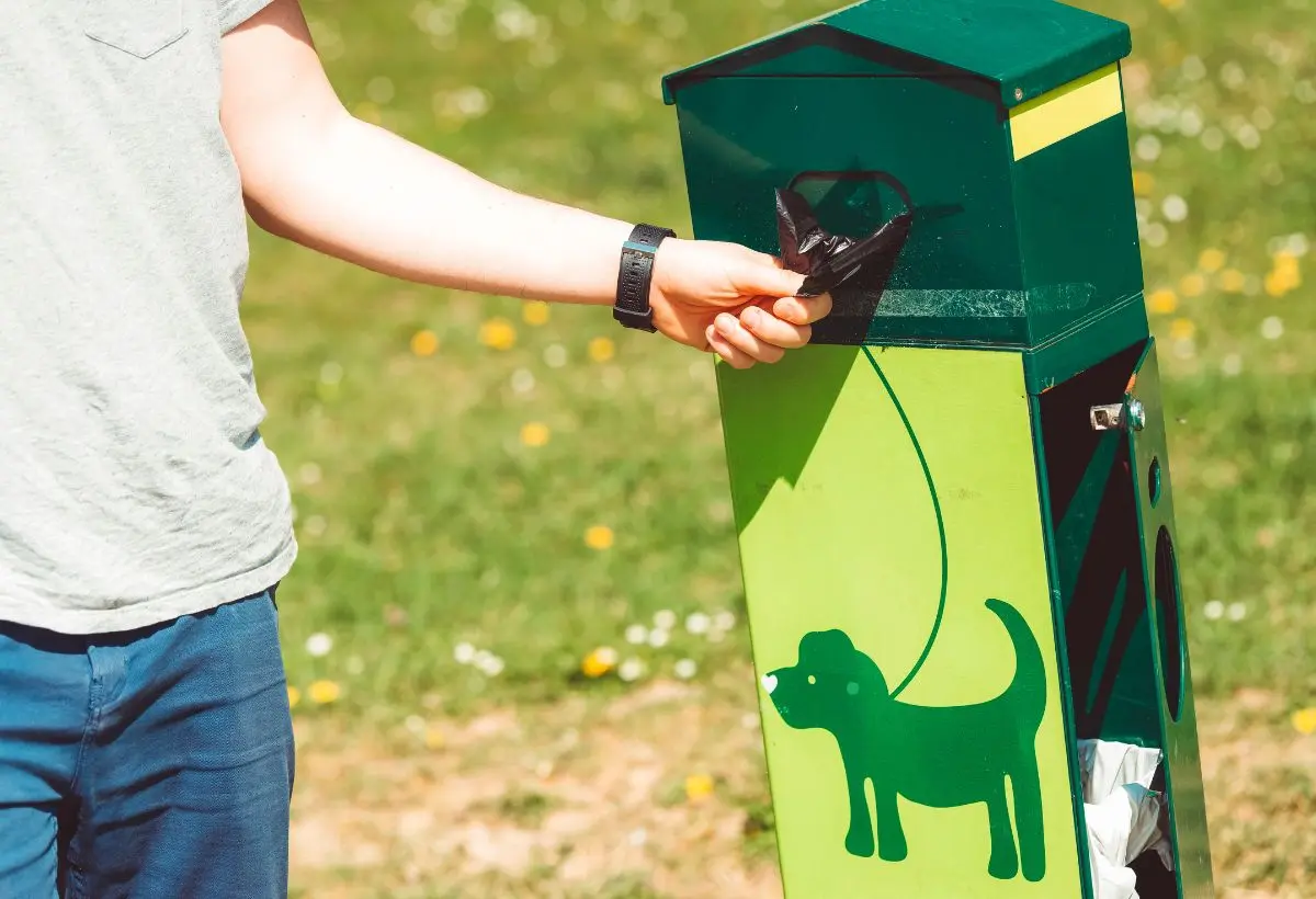 Pet Waste Removal Services Huntington Beach, CA